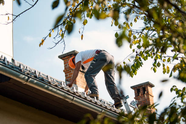 Best Roof Gutter Cleaning  in Iroquois Point, HI